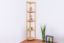 Bücherregal - 40 cm breit, Kiefer Holz-Massiv, Farbe: Natur