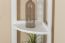 Bücherregal - 40 cm breit, Kiefer Holz-Massiv, Farbe: Weiß
