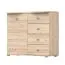 Kommode | 101 x 120 x 49,5 cm | Eiche | 1 Türe |  Einfarbig | dünne Griffe silberfarben | Holzoptik | viel Stauraum | Holzoptik mit Maserung