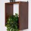 Hängeregal / Wandregal Kiefer massiv Vollholz Walnussfarben Junco 283A - 30 x 30 x 12 cm (H x B x T)