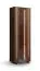 Vitrine | Farbe: Tabacco | Massivholz | Eichenholz geölt | Travertin Stein | inkl. LED-Beleuchtung | 68 x 41 x 206 cm | Rückwand: HDF