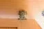 Schrank 65 cm breit