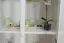 Vitrine Holz