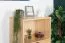 Kiefer Regal 120 cm hoch