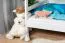 Etagenbett für Kinder 120 x 190 cm | Massivholz: Buche | Weiß Lackiert | umbaubar in 2 Einzelbetten | inkl. Rollroste Abbildung