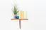 Bücherregal - 40 cm breit, Kiefer Holz-Massiv, Farbe: Eiche Abbildung