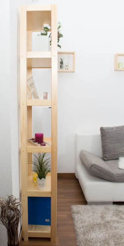 Regal 200 x 50 x 30
