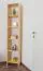 Regal 30 cm tief Und 40 cm breit