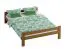 Jugendbett Llorts 16, Kiefer Vollholz massiv, Farbe: Eiche - Liegefläche: 140 x 200 cm (B x L)