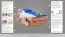 Einzelbett 90x200