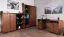Regal Mojokerto 11, Farbe: Walnuss / Schwarz - Abmessungen: 121 x 80 x 39 cm (H x B x T)