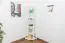 Regal, Küchenregal, Wohnzimmerregal, Bücherregal - 52 cm breit, Kiefer Holz-Massiv, Farbe: Weiß