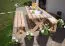 Gartenbank Lisianthus aus Massivholz, rustikal, Lärche natur, 45 x 178 x 49 cm, stabile Holzbank, langlebig, robust