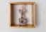 Hängeregal / Wandregal Kiefer massiv Vollholz Erlefarben Junco 291B - 35 x 35 x 20 cm (H x B x T)
