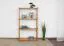 Regal Kiefer massiv Vollholz Erlefarben Junco 56B - 125 x 70 x 30 cm (H x B x T)