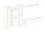 Wohnwand im modernen Design Balestrand 242, Farbe: Schwarz - Abmessungen: 180 x 330 x 40 cm (H x B x T), mit LED-Beleuchtung