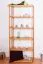 Regal Kiefer massiv Vollholz Erlefarben Junco 54A - 200 x 80 x 30 cm (H x B x T)