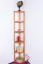 Regal / Eckregal Kiefer massiv Vollholz Erlefarben Junco 59 - Abmessungen: 200 x 42 x 30 cm (H xB x T)