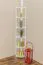Regal 40 cm breit Kiefer