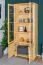 Vitrine Holz