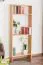 Regal, Bücherregal Buche Massivholz Abbildung