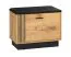 Sitzbank mit Stauraum / Schuhschrank Lautela 02, Farbe: Eiche / Schwarz - Abmessungen: 49 x 60 x 34 cm (H x B x T), mit 1 Tür und 2 Fächern