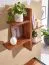 Wandregal aus Sheesham Massivholz, Farbe: Sheesham - Abmessungen: 60 x 58 x 15 cm (H x B x T)