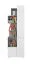 Jugendzimmer - Regal Lede 04, Farbe: Grau / Eiche / Weiß - Abmessungen: 190 x 60 x 40 cm (H x B x T)