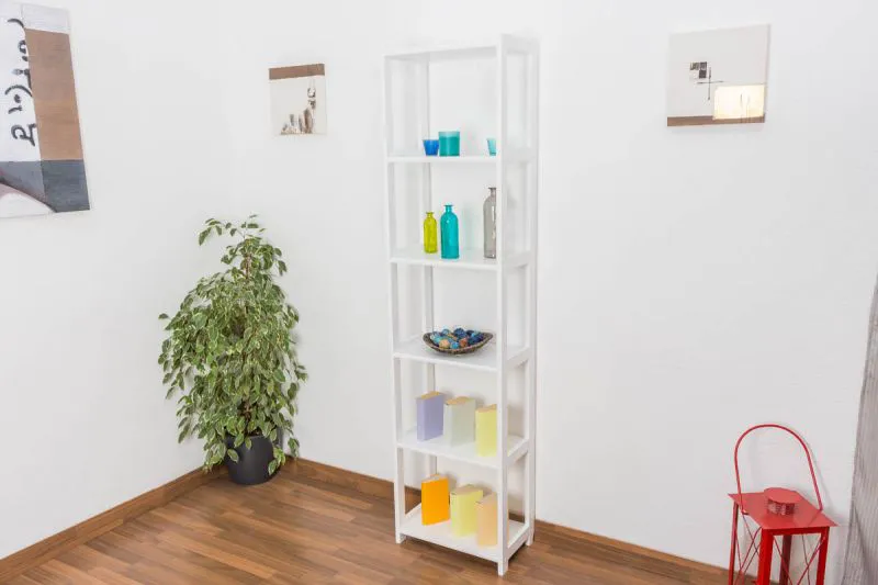Regal 50cm breit 200cm hoch