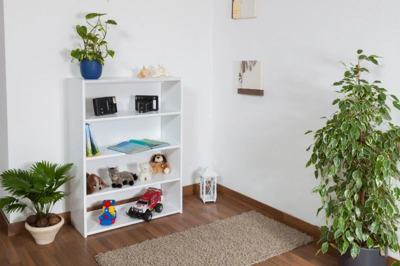 Bücherregal