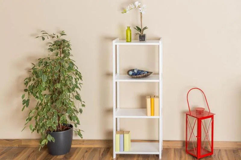 Regal - 50 cm breit, Kiefer Holz-Massiv, Farbe: Weiß Abbildung