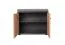 Schuhschrank mit zwei Fächern Ringerike 13, Farbe: Anthrazit / Eiche Artisan - Abmessungen: 46 x 60 x 32 cm (H x B x T), mit zwei Türen