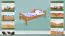 Kinderbett / Jugendbett Buche massiv Vollholz Erlefarben 113C, inkl. Lattenrost - 100 x 200 cm (B x L)