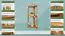 Regal / Eckregal Kiefer massiv Vollholz Erlefarben Junco 62 - 40 x 30 x 86 cm (B x T x H)
