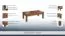 Clubtisch Couchtisch Wohnzimmertisch Eiche teilmassiv Farbe: Walnuss 40x120x70 cm