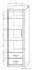 Schrank Pasuruan 01, Farbe: Nuss / Ahorn - Abmessungen: 195 x 54 x 37 cm (H x B x T)