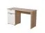 Schreibtisch Sonomi 01, Farbe: Eiche Sonoma / Weiß, eine Schublade, ABS-Kanten, eine Tür, Griffe: Grau, zwei Fächer, Maße: 75,5 x 130 x 50 cm, für Büro