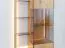 Hängevitrine Sienne 04 mit 1 Tür, getöntes Glas, Wildeiche massiv, Push-to-open, 8 Einlegeböden, inkl. LED-Beleuchtung, 175 x 73 x 37 cm, Holz gebürstet